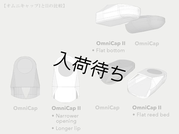 画像5: SILVERSTEIN　OMNICAP II (5)