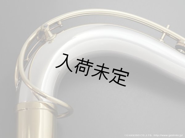 画像2: Gloger テナーサックス用ネック 対応・ネックカーブ:SELMER MkVI 【総銀製】 (2)