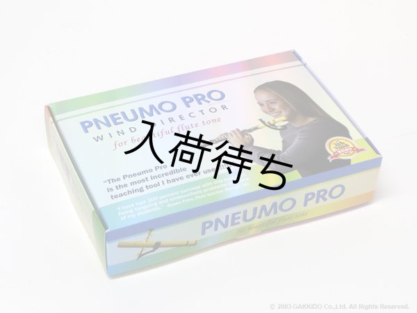 画像1: PNEUMO PRO　フルート用練習ツール (1)