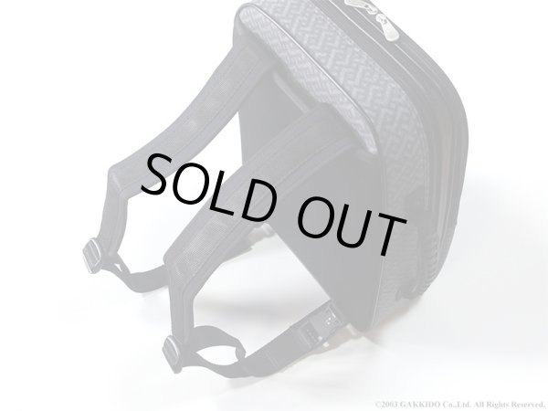 画像4: 【特価品 45％OFF！】BAM　B♭＆Aクラリネット用ダブルケース　SIGNATURE　【グレー】 (4)