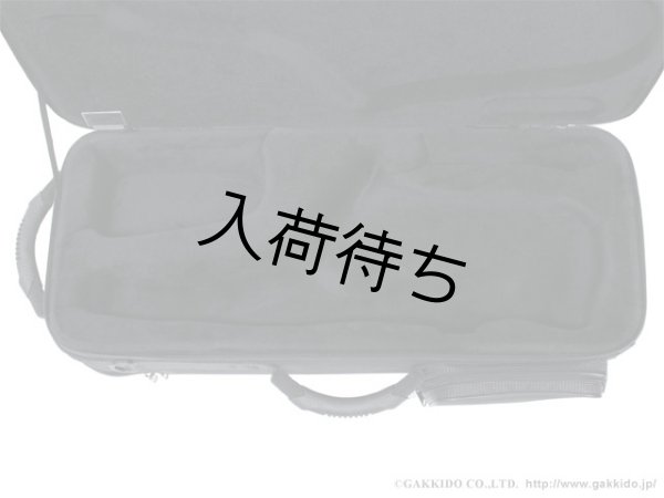 画像3: BAM　アルトサックス用セミハードケース　TREKKING (3)