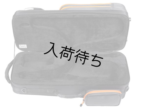 画像3: BAM　アルトサックス用セミハードケース　PEAK (3)