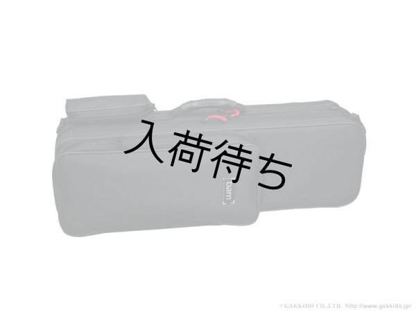 画像2: BAM　ソプラノサックス用セミハードケース　TREKKING (2)