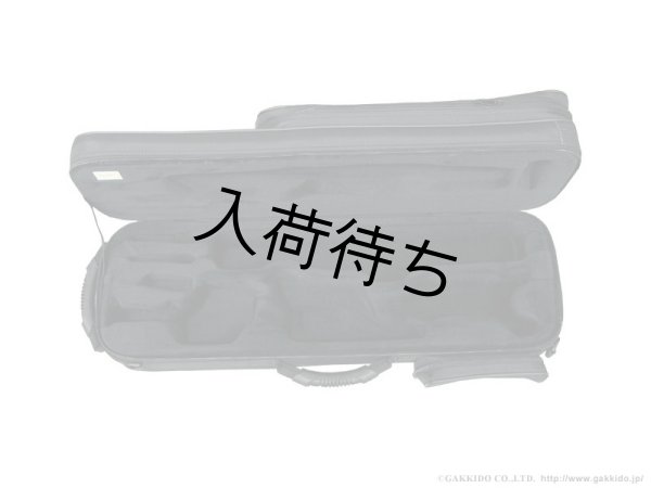 画像3: BAM　ソプラノサックス用セミハードケース　TREKKING (3)