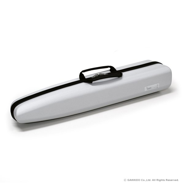 画像1: BAM　ソプラノサックス用ハードケース　STAGE (1)