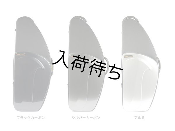 画像1: BAM　テナーサックス用セミハードケース　NEW TREKKING (1)