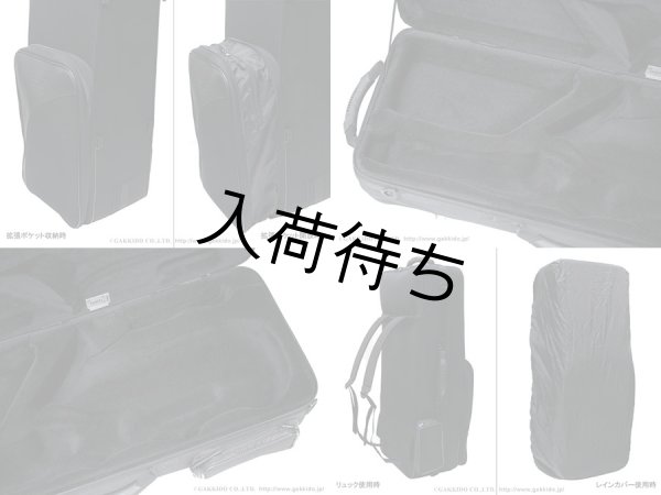 画像4: BAM　テナーサックス用セミハードケース　TREKKING (4)