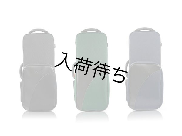 画像5: BAM　テナーサックス用セミハードケース　TREKKING (5)