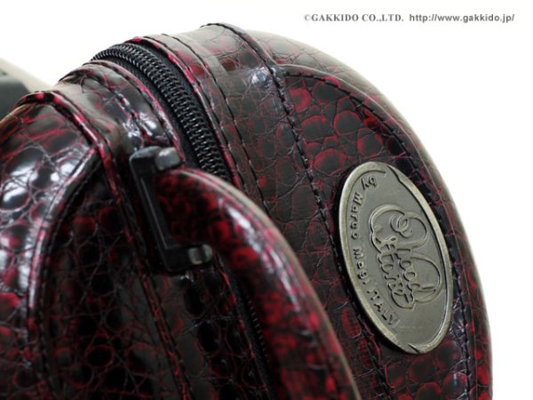 画像9: Marco Magi Regular Series アルトサックス用ケース (9)