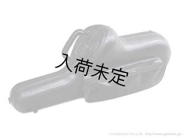 画像1: Marco Magi　Regular Series　テナーサックス用ケース (1)
