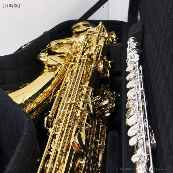 画像14: Marcus Bonna　ソプラノ＆テナーサックス用ダブルケース　【MBSSTS】　【ナイロン製】 (14)