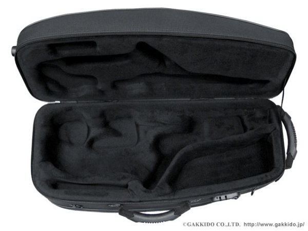 画像2: H.SELMER アルトサックス用ライトケース (2)