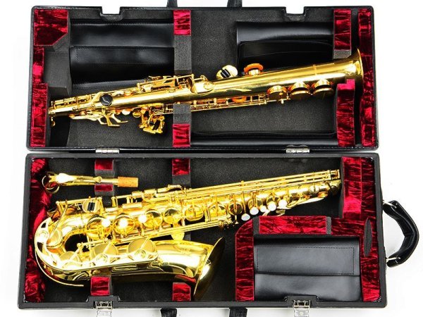 画像3: WISEMAN サックス用ケース 【カーボンファイバー製】 【お見積もり・お問い合わせ】 (3)