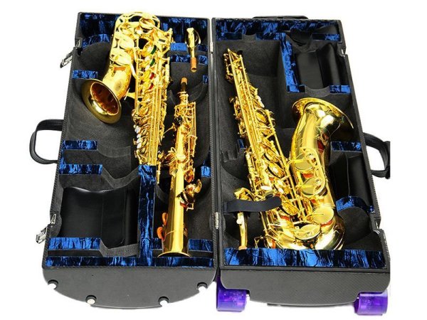 画像4: WISEMAN サックス用ケース 【カーボンファイバー製】 【お見積もり・お問い合わせ】 (4)