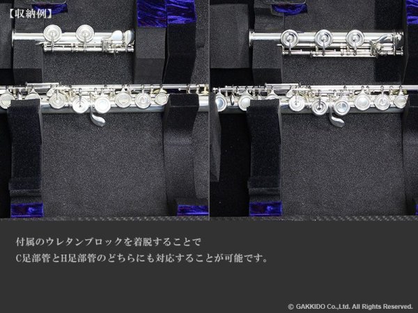 画像9: WISEMAN サックス用ケース 【カーボンファイバー製】 【お見積もり・お問い合わせ】 (9)