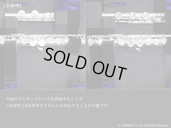 画像10: WISEMAN　ソプラノ＆アルトサックス用マルチプルケース　【カーボンファイバー製】　【カーボンファイバー: Standard Black / Gloss Lacquer】　【内装: Blue / Red】 (10)