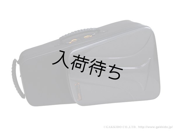 画像3: BAM　トランペット用セミハードケース　NEW TREKKING (3)