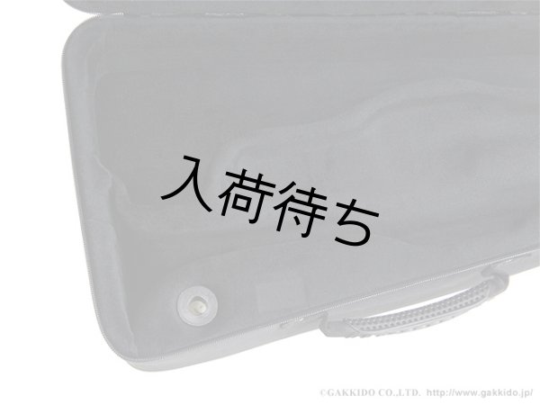 画像5: BAM　トランペット用セミハードケース　NEW TREKKING (5)