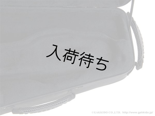 画像6: BAM　トランペット用セミハードケース　NEW TREKKING (6)