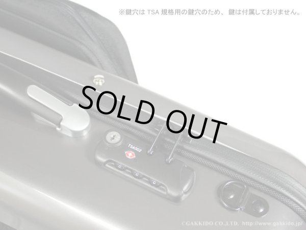 画像4: GL CASES　トランペット用コンビケース　PC Exterior　GLK-TRU(S) (4)