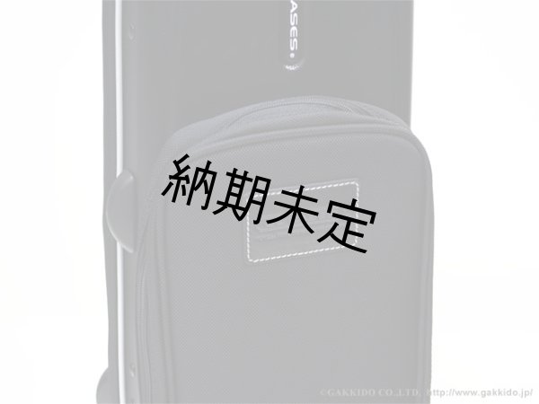 画像6: GL CASES　トランペット用コンビケース　all-in-one (6)