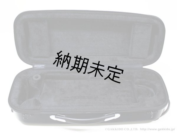 画像7: GL CASES　トランペット用コンビケース　all-in-one (7)