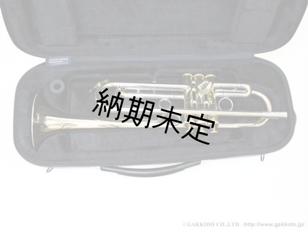 画像8: GL CASES　トランペット用コンビケース　all-in-one (8)