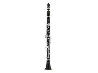 ビュッフェクランポン クラリネット R13 管楽器　BUFFET CRAMPON BUFFET CRAMPON(ビュッフェ・クランポン )の魅力【上達を助ける