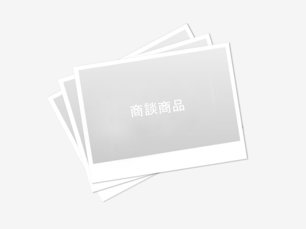 画像1: ご商談商品 #3-20250604-1128 (1)