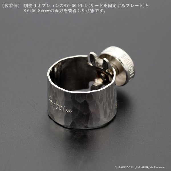 画像6: Gottsu　シグネイチャーリガチャー用オプションパーツ　SV950 Plate (6)
