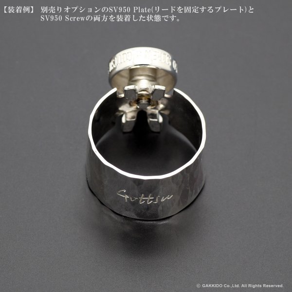 画像9: Gottsu　シグネイチャーリガチャー用オプションパーツ　SV950 Plate (9)