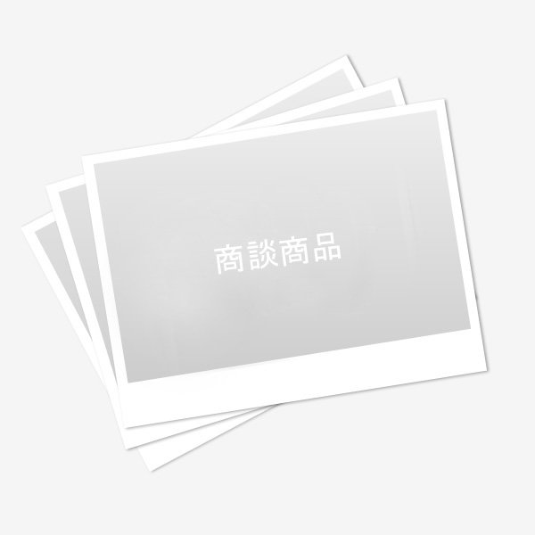 画像1: ご商談商品 #3-20250620-1027 (1)