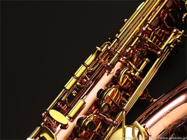 画像7: BUFFET CRAMPON　アルトサックス　Senzo　銅製銅メッキ/クリアラッカー仕上げ (7)