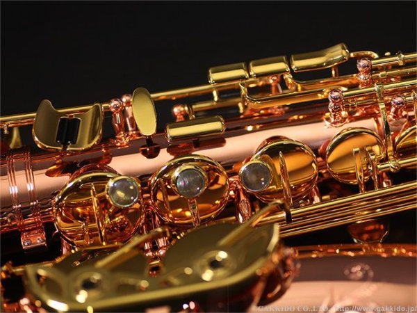 画像8: BUFFET CRAMPON　アルトサックス　Senzo　銅製銅メッキ/クリアラッカー仕上げ (8)