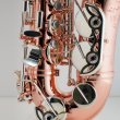 画像5: BUFFET CRAMPON　アルトサックス　Senzo　【200周年特別限定コレクション】 (5)