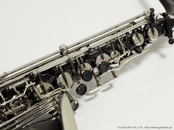 画像18: JULIUS KEILWERTH SX90R SHADOW アルトサックス ブラック・ニッケルメッキ仕上げ (18)