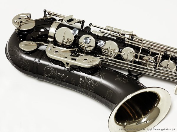 画像17: JULIUS KEILWERTH SX90R SHADOW テナーサックス ブラック・ニッケルメッキ仕上げ (17)