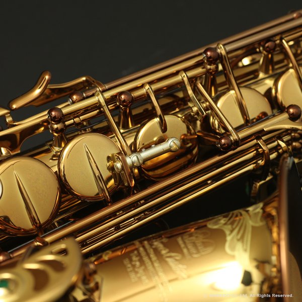 画像10: Wood Stone　Super Custom　アルトサックス　ヴィンテージラッカー仕上げ　WOF (without High F# key) (10)