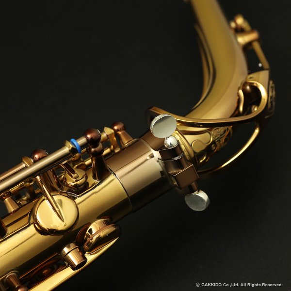 画像11: Wood Stone　Super Custom　アルトサックス　ヴィンテージラッカー仕上げ　WOF (without High F# key) (11)