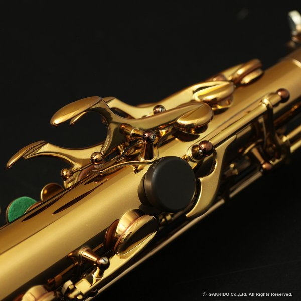 画像13: Wood Stone　Super Custom　アルトサックス　ヴィンテージラッカー仕上げ　WOF (without High F# key) (13)