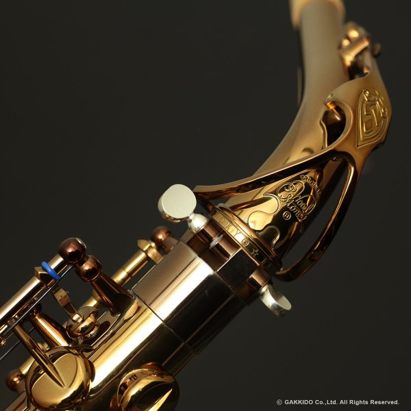 画像15: Wood Stone　Super Custom　アルトサックス　ヴィンテージラッカー仕上げ　WOF (without High F# key) (15)