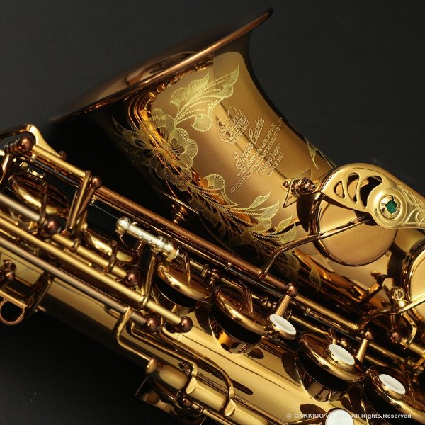 画像22: Wood Stone　Super Custom　アルトサックス　ヴィンテージラッカー仕上げ　WOF (without High F# key) (22)