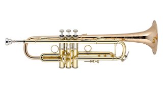 V.Bach The BIG COPPER LR19043B トランペット 楽天市場】V.Bach THE BIG COPPER LR19043B【お取り寄せ】【新品
