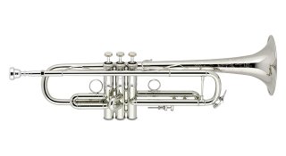 6SAM13 BACH Model 37 シルバー トランペット ケース付き 6SAM13 BACH Model 37 シルバー トランペット ケース付き - メルカリ