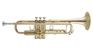V.Bach Apollo R170ML43GL B♭トランペット - 楽器堂管楽器専門ショップ