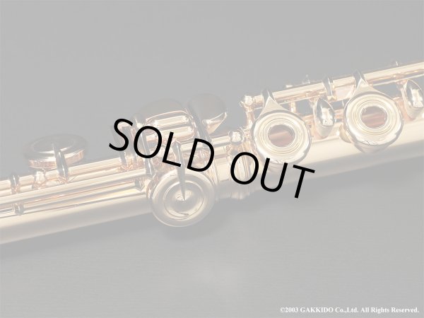 画像10: Powell　ハンドメイドフルート　All 14K R/B　総14K金製　H管　#13XXX　【中古商品】 (10)