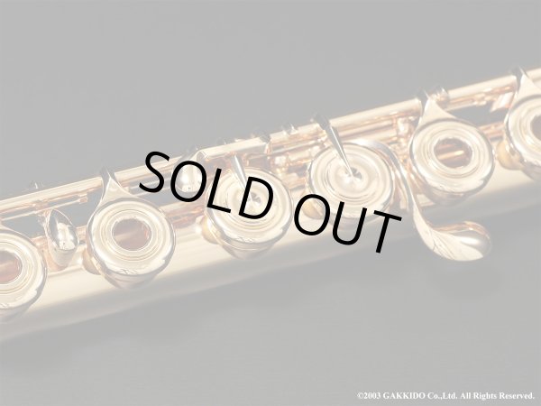 画像11: Powell　ハンドメイドフルート　All 14K R/B　総14K金製　H管　#13XXX　【中古商品】 (11)