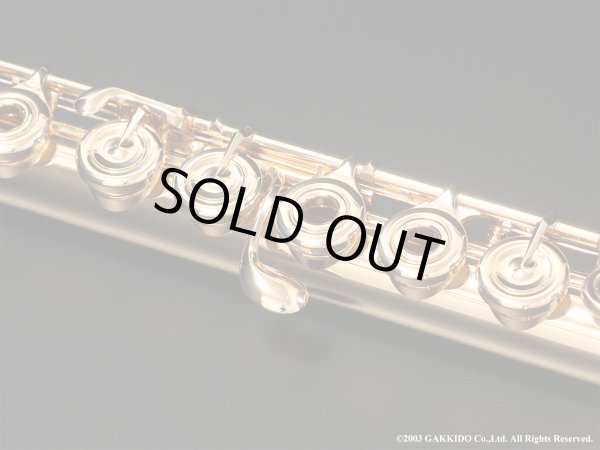 画像13: Powell　ハンドメイドフルート　All 14K R/B　総14K金製　H管　#13XXX　【中古商品】 (13)