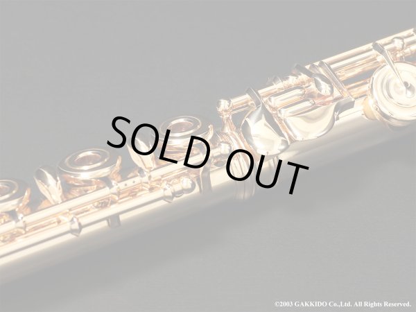 画像16: Powell　ハンドメイドフルート　All 14K R/B　総14K金製　H管　#13XXX　【中古商品】 (16)