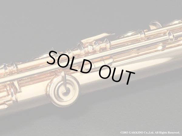 画像17: Powell　ハンドメイドフルート　All 14K R/B　総14K金製　H管　#13XXX　【中古商品】 (17)